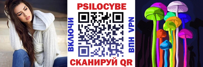 Купить  Ильский  Галлюциногенные грибы Psilocybine cubensis 